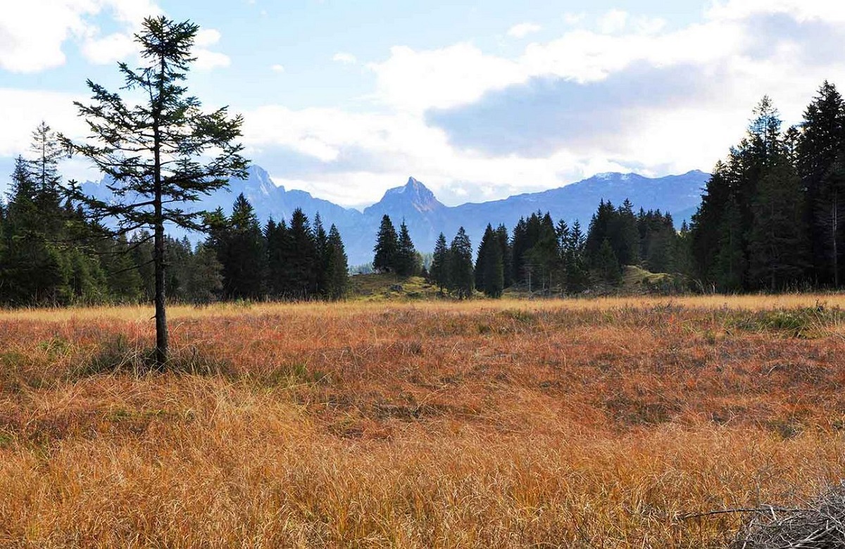 The renaturation of wetland in Schwändital