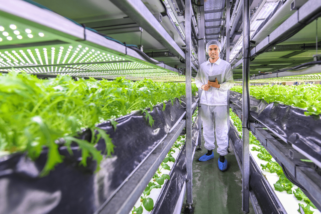 Sustainable farming in Greater Zurich Area