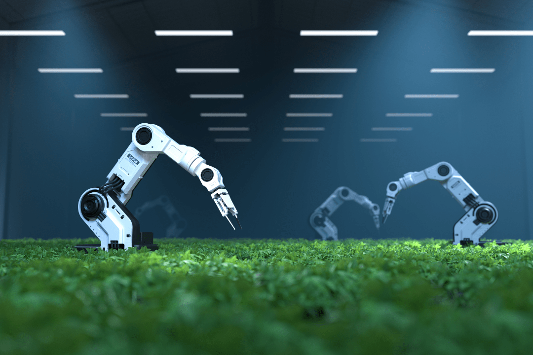 Innovation Teaser