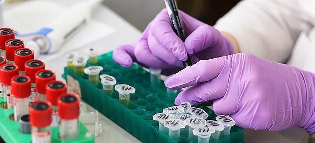 With a new collaboration, BC Platforms aims to advance precision medicine in South Africa. Image: Belova59/Pixabay