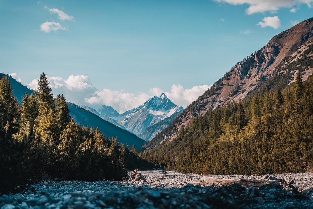 Swiss National Park chosen for technology-led pilot project