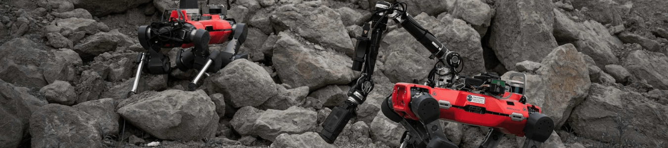 Robitics in the Greater Zurich Area