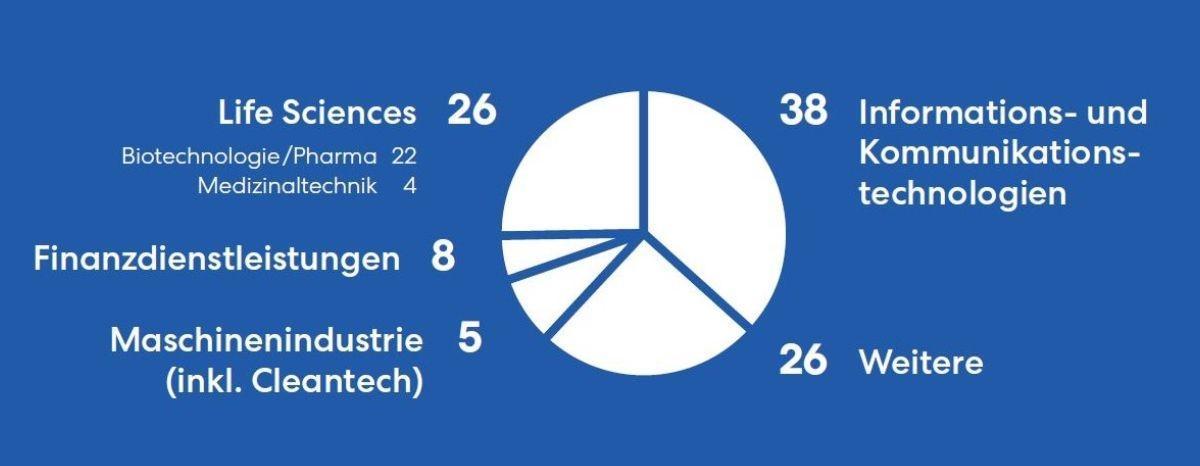 Ansiedlungen 2019 nach Technologien