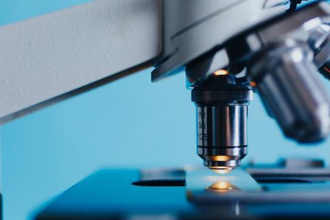 Biotech erhält meistes Risikokapital