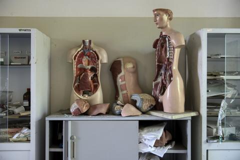 Successes in liver disease treatment 