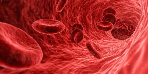 Positive study data for Nuwiq