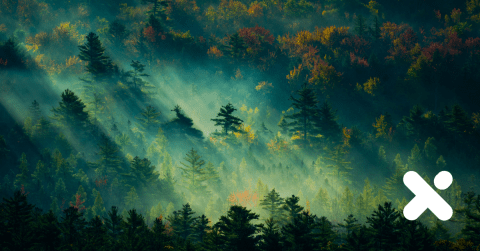 Xilva Logo Forest