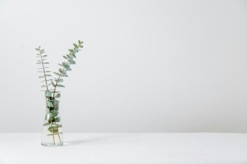 Test SoMed image